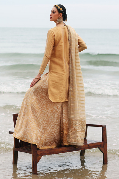 SAVARIYA Gold Tissue Zari Hand Embellished  Silhouette 