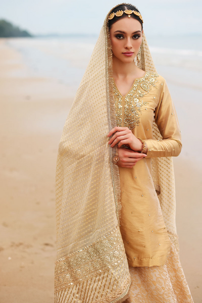 SAVARIYA Gold Tissue Zari Hand Embellished  Silhouette 